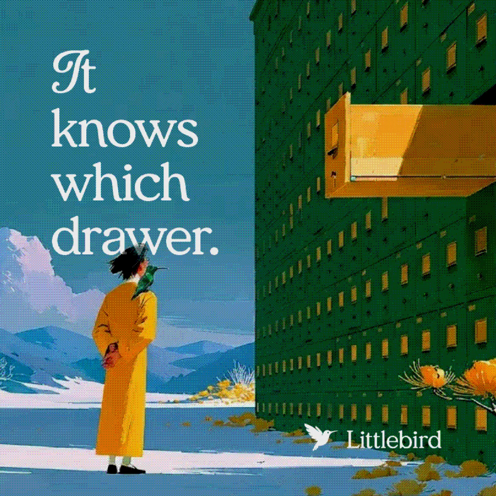 Drawers