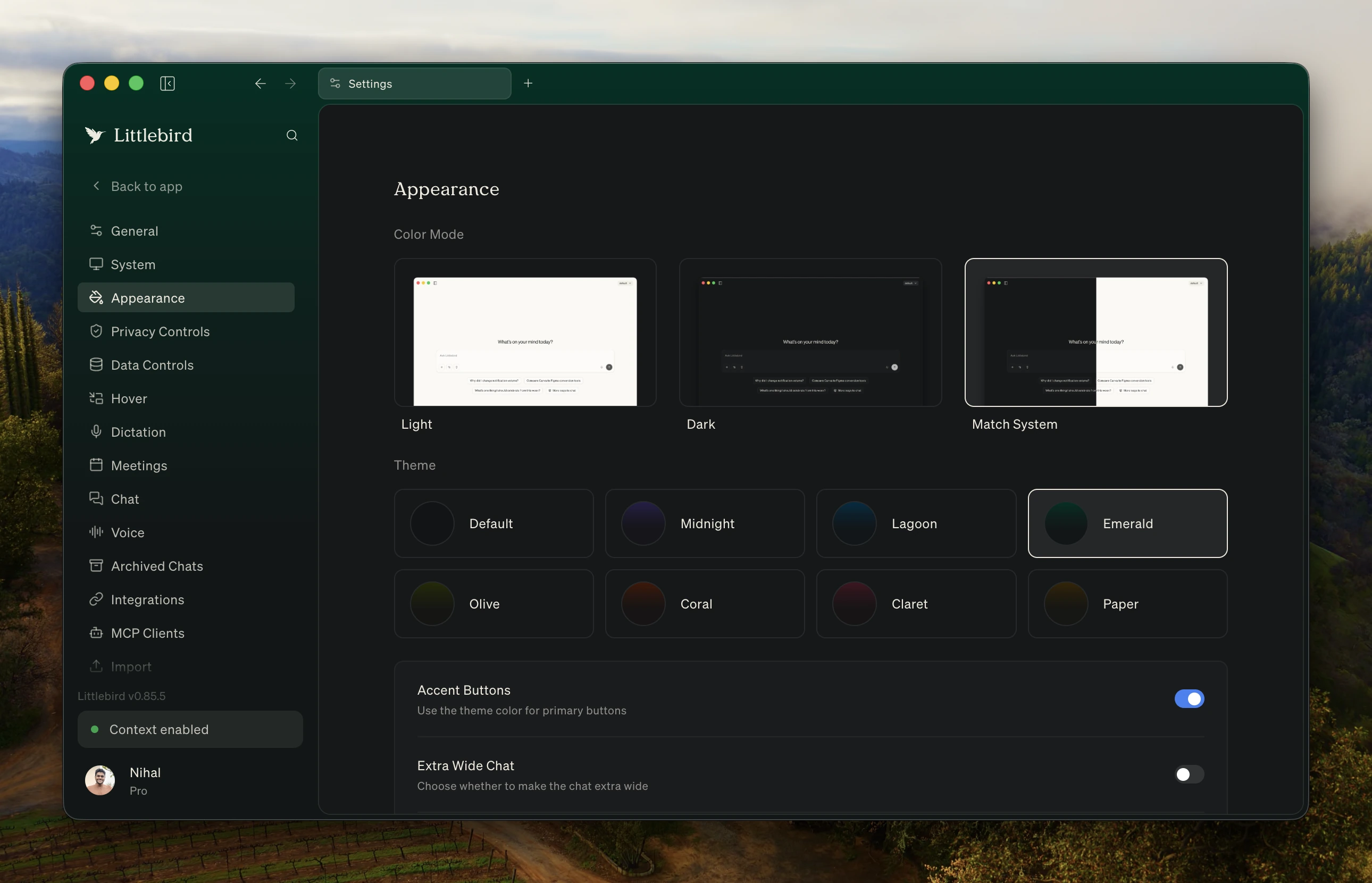 Settings as a full page, open on Appearance