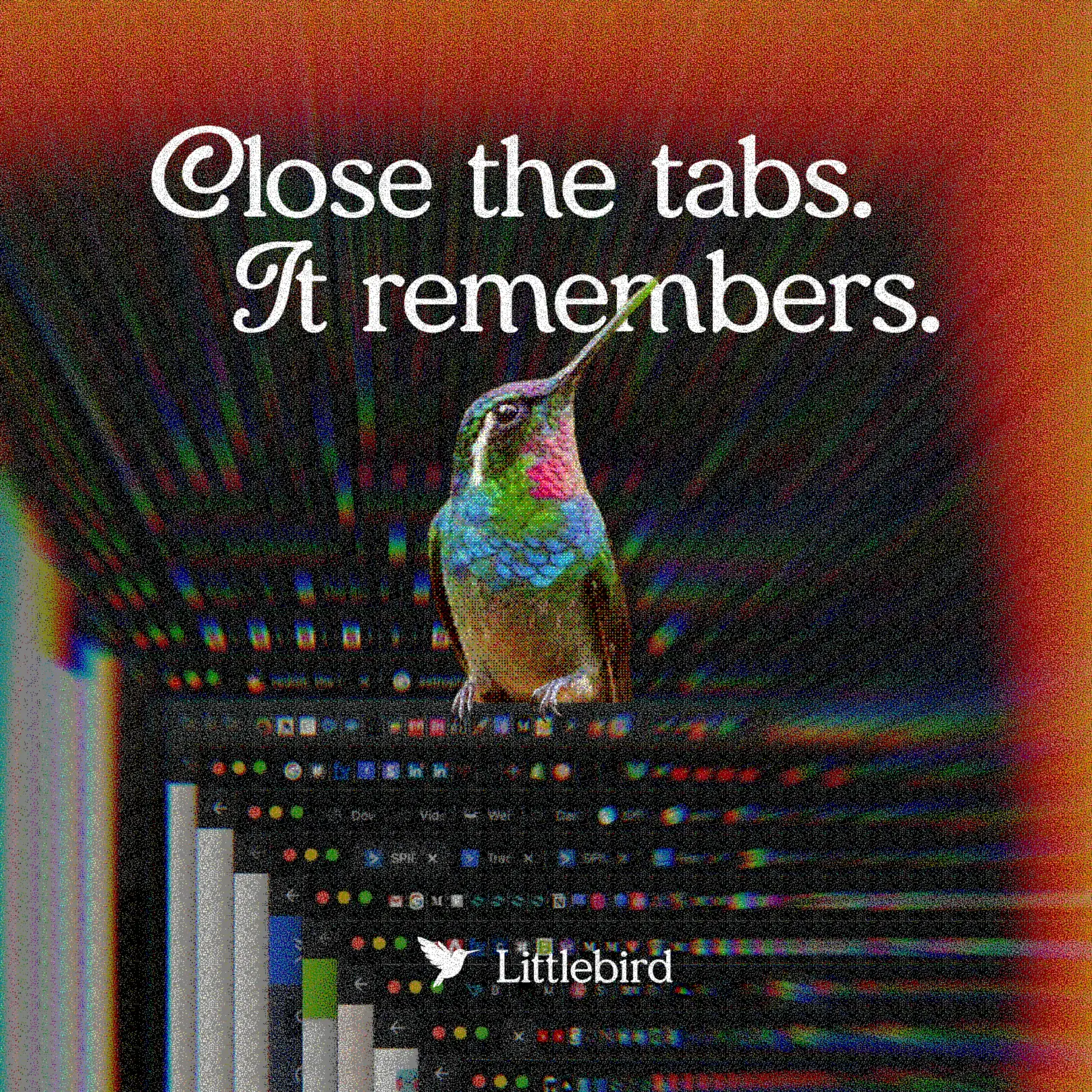 Tabs